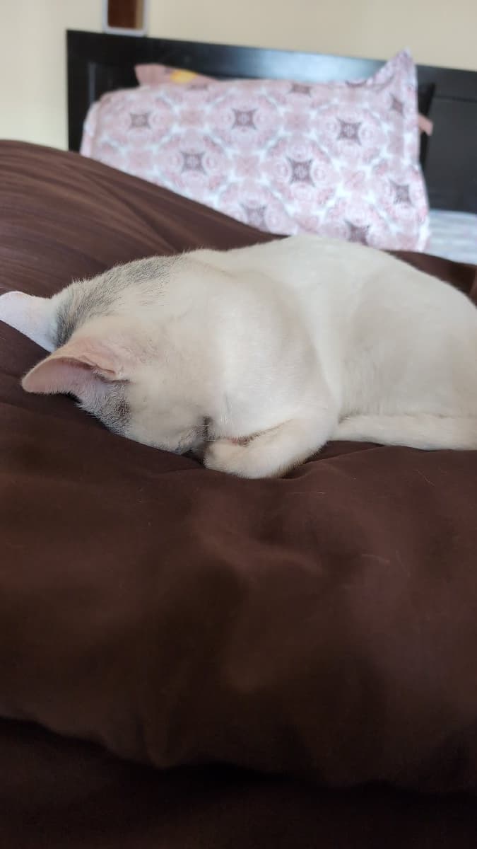 Thara's home photo 1