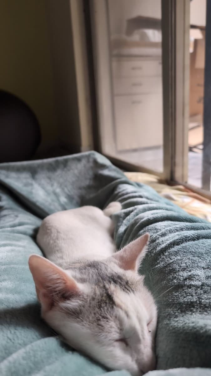 Thara's home photo 4