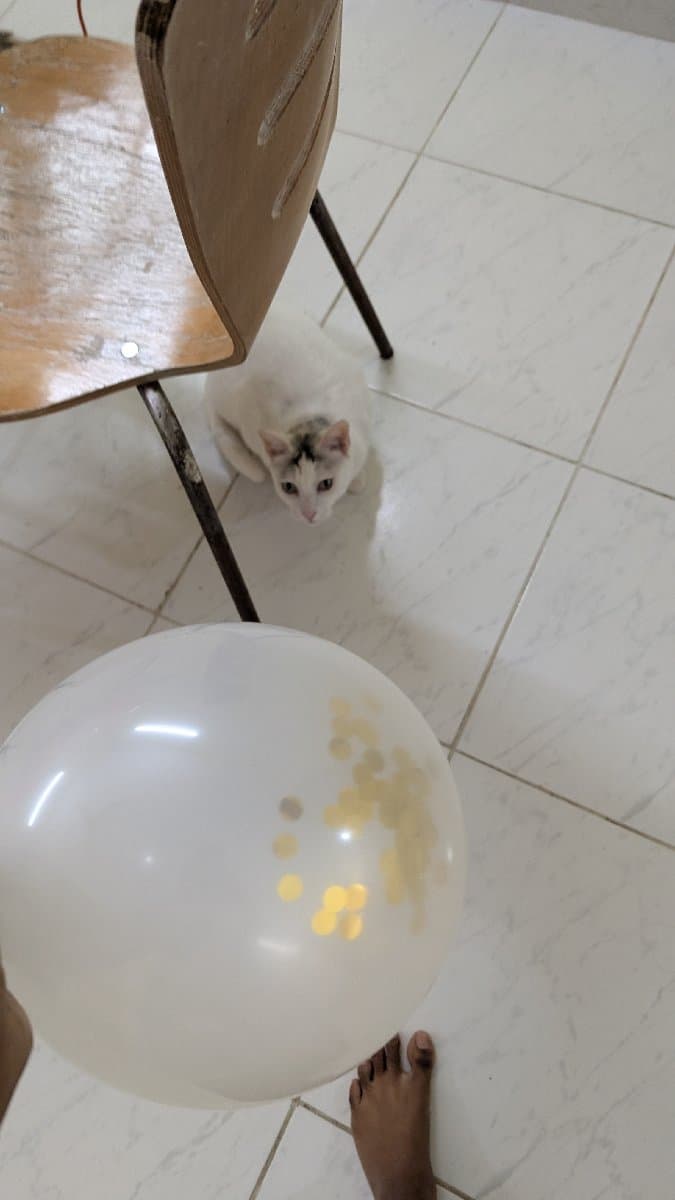 Thara's home photo 2