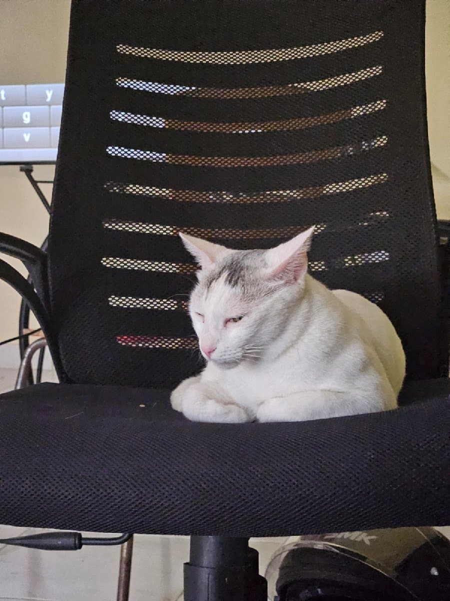 Thara's home photo 3