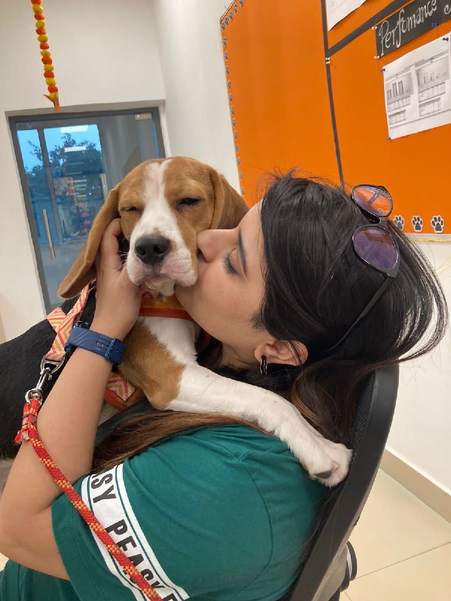 Yashaswani's home photo 4