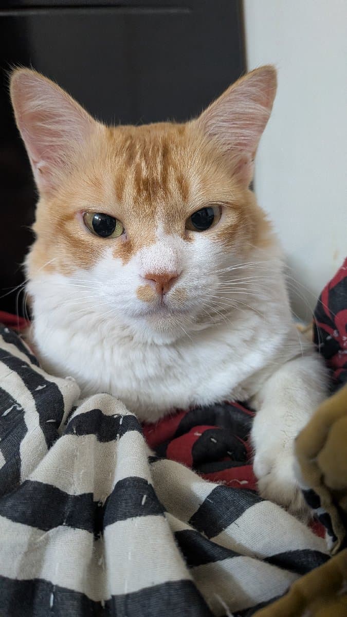 SAIKA's home photo 4