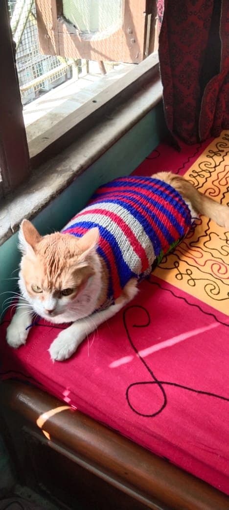 SAIKA's home photo 2