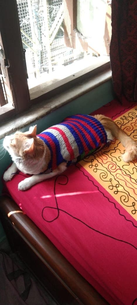 SAIKA's home photo 3