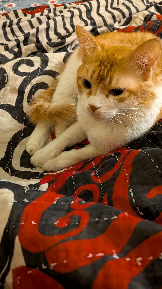 SAIKA's home photo 5