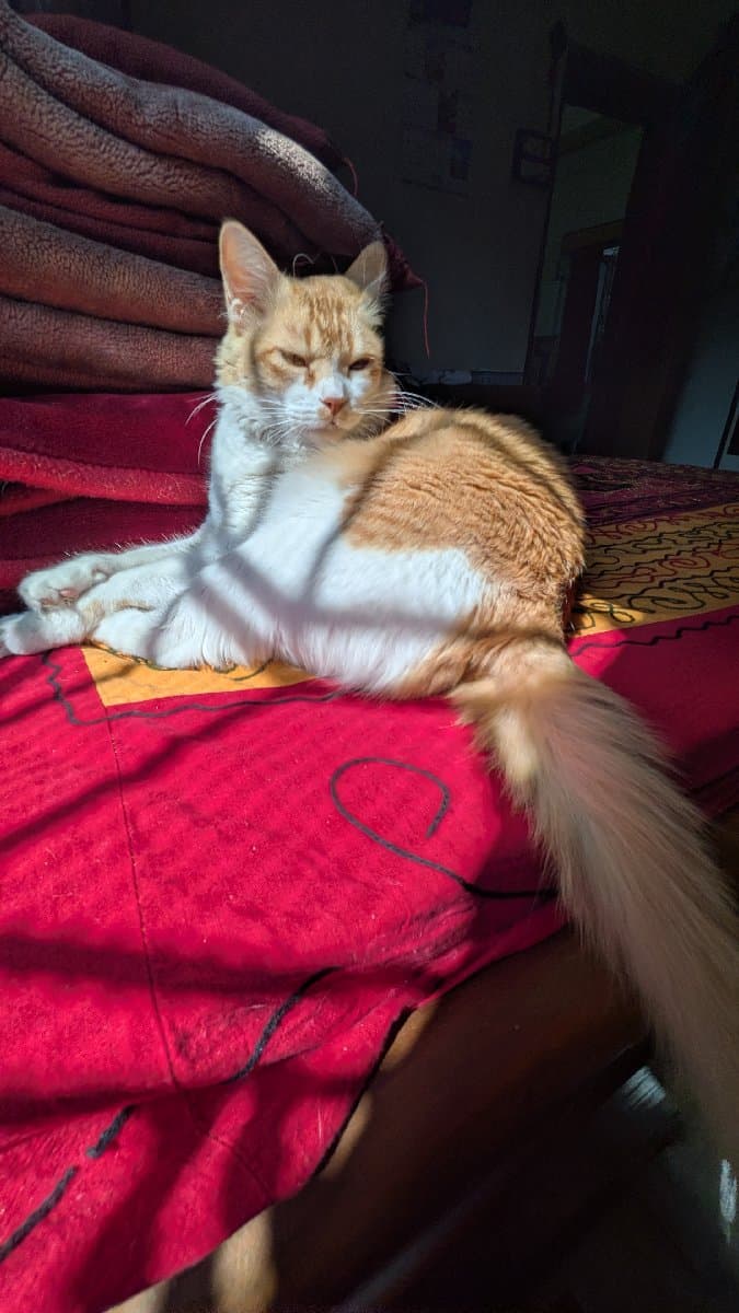 SAIKA's home photo 1