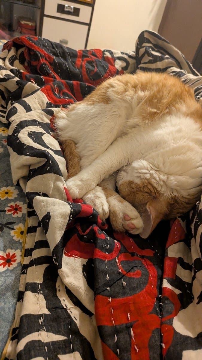 SAIKA's home photo 6