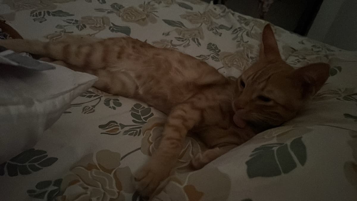 Madiha's home photo 9