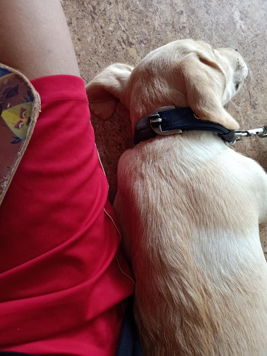 Kavya's home photo 2