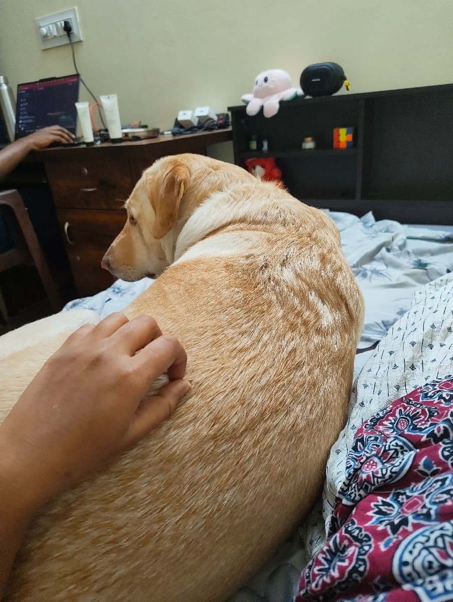 Kavya's home photo 3