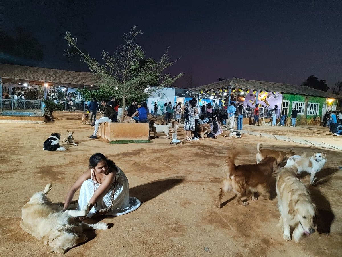 Kavya's home photo 5