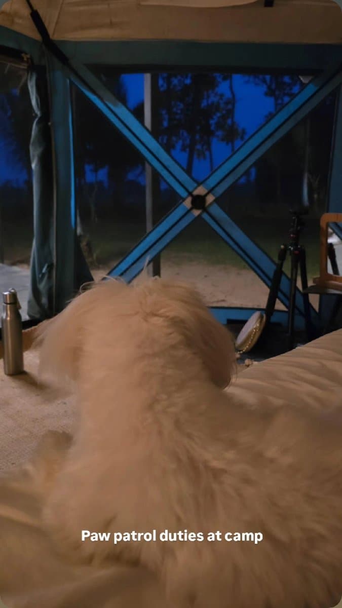 Sakshi's home photo 4