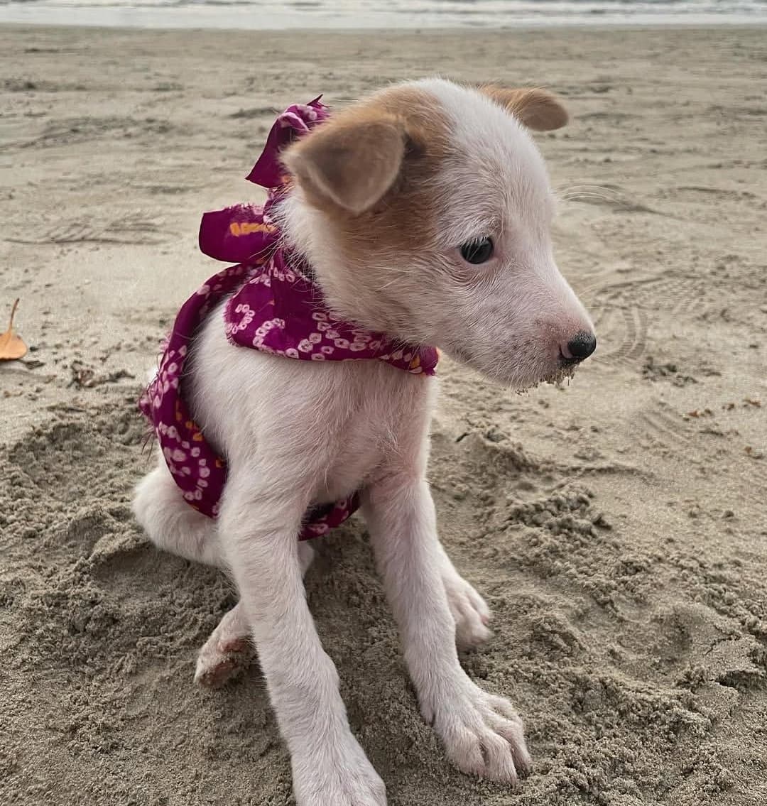 Sakshi's home photo 5