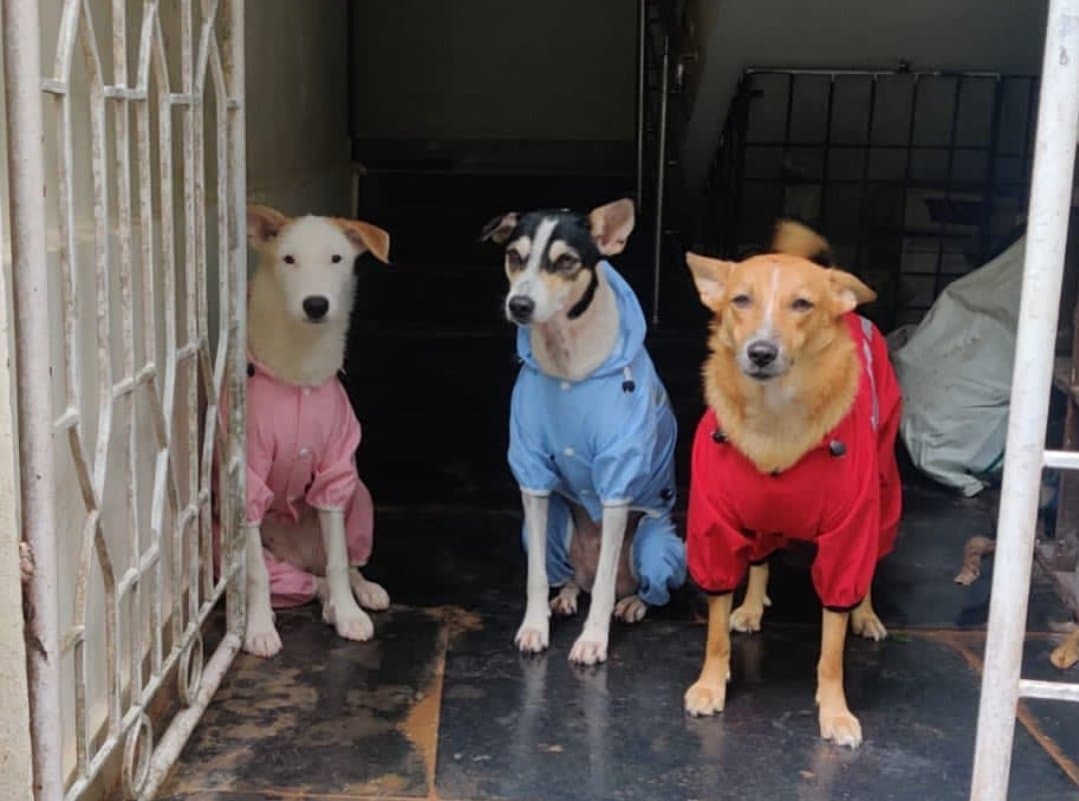 Sakshi's home photo 6