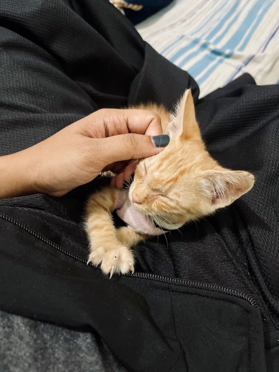 Aarcha's home photo 4