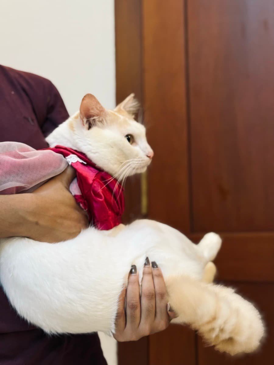 Aarcha's home photo 10