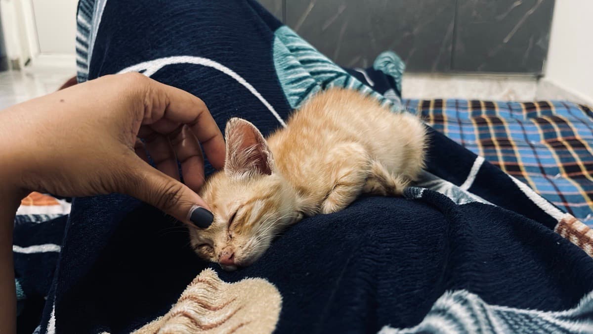 Aarcha's home photo 5