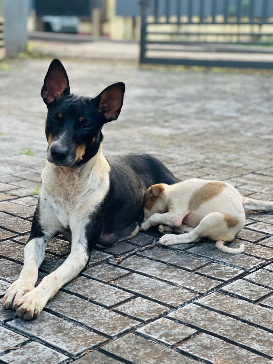 Aarcha's home photo 9