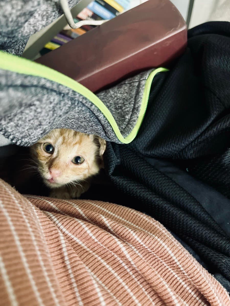 Aarcha's home photo 6