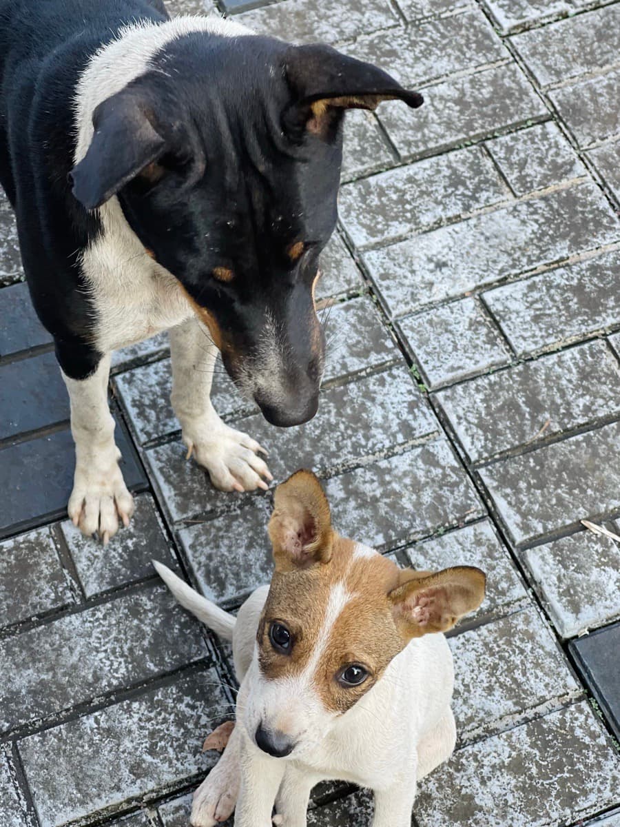 Aarcha's home photo 8