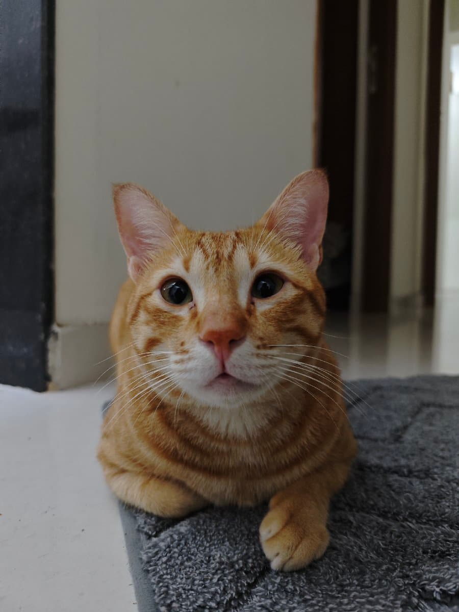 Benston's profile photo