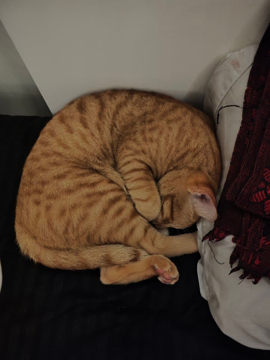 Benston's home photo 4