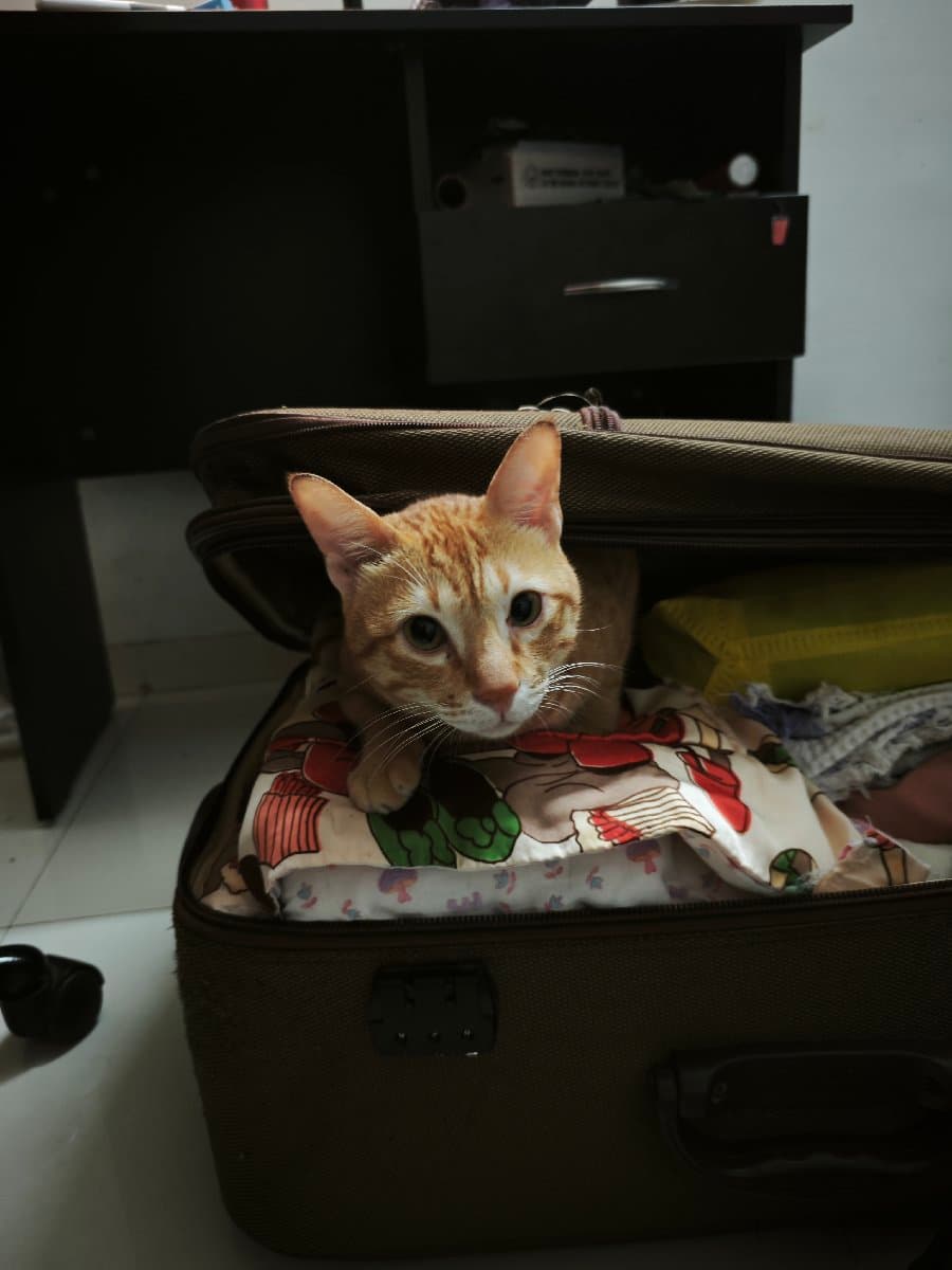 Benston's home photo 5