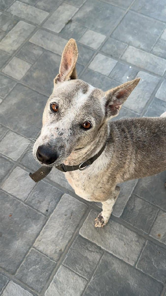 Benston's home photo 6