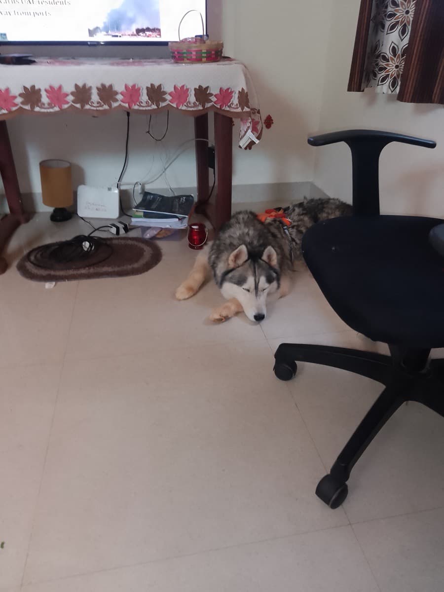 Anuja's home photo 5