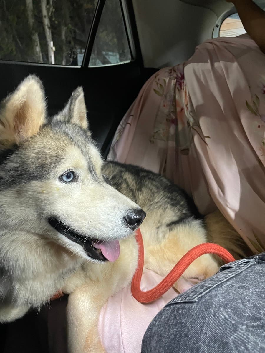 Anuja's home photo 1