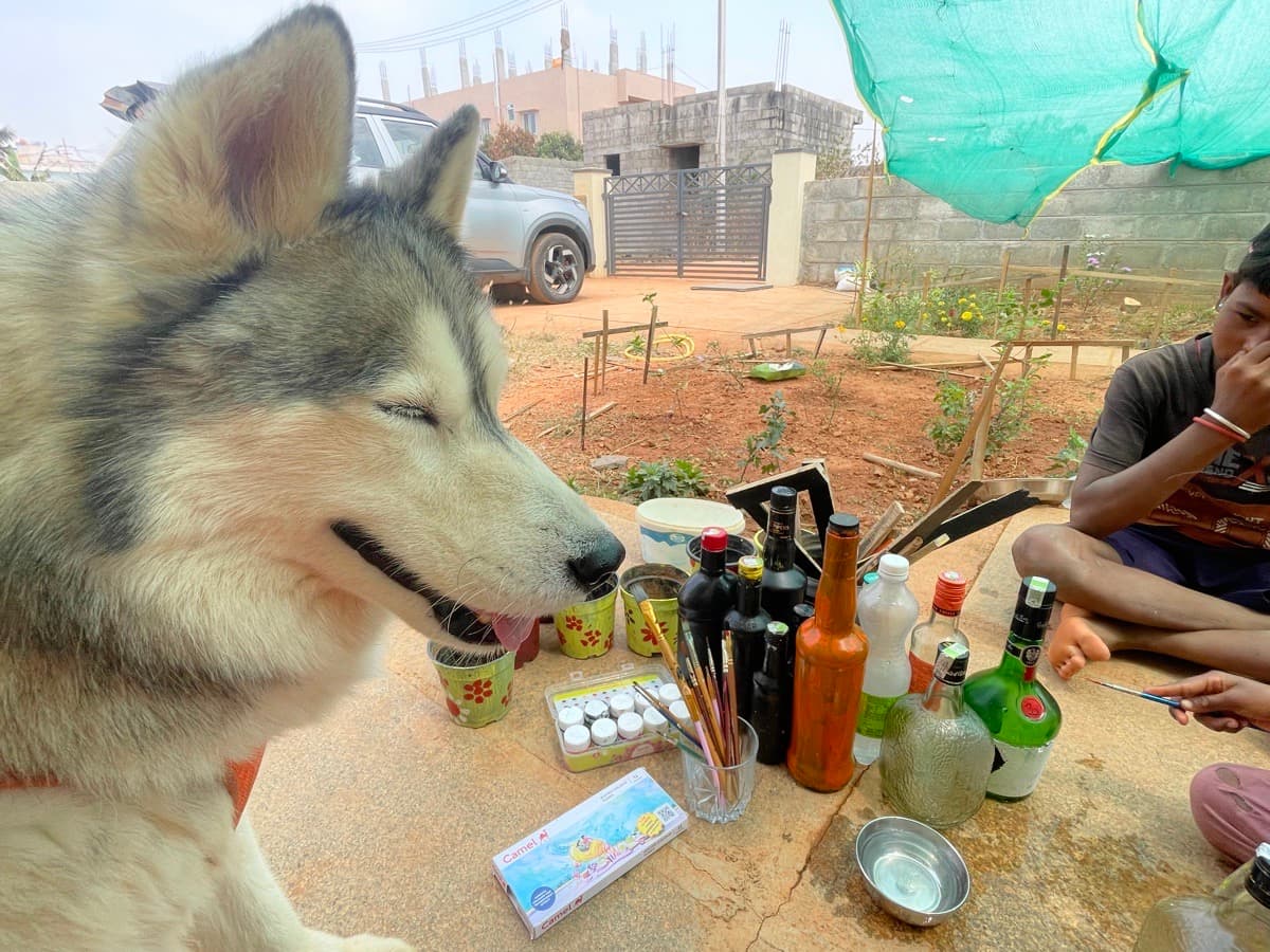 Anuja's home photo 2