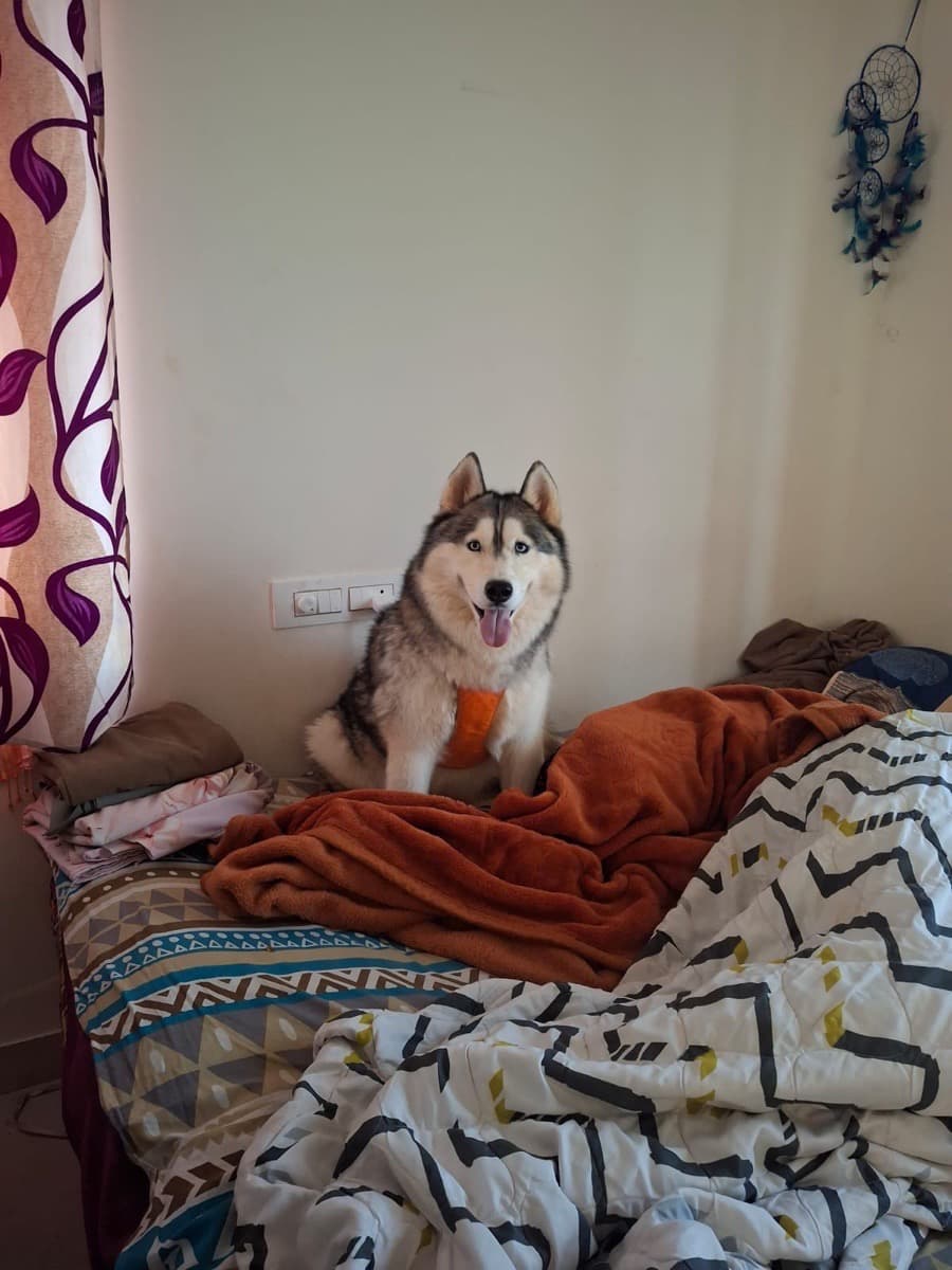 Anuja's home photo 6