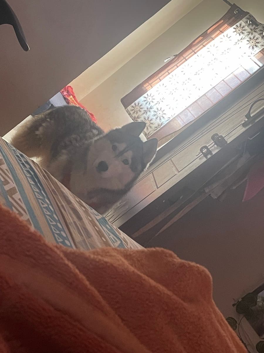 Anuja's home photo 4