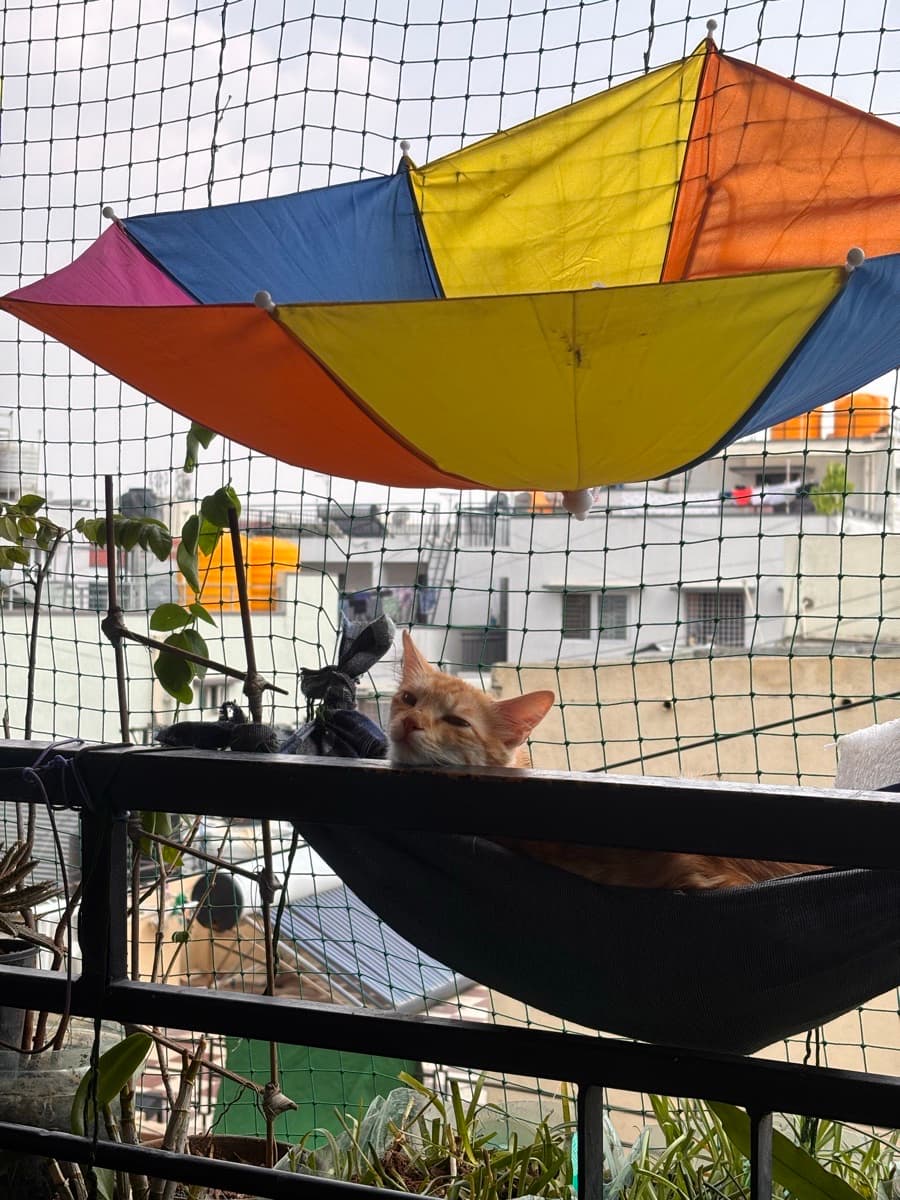 Aditi's home photo 2