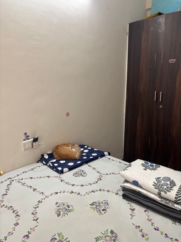 Aditi's home photo 4