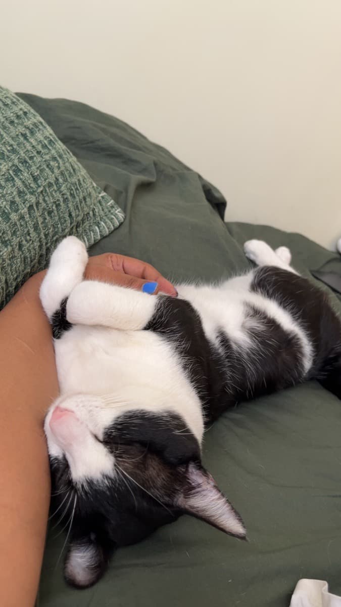 Pooja's home photo 4