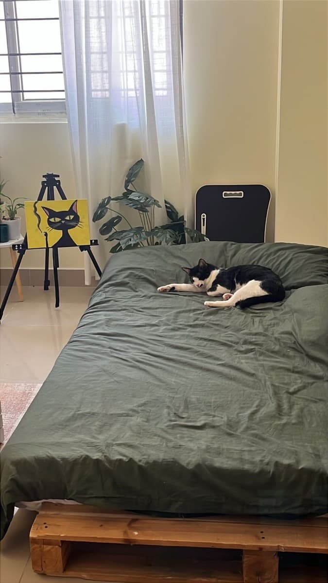 Pooja's home photo 3