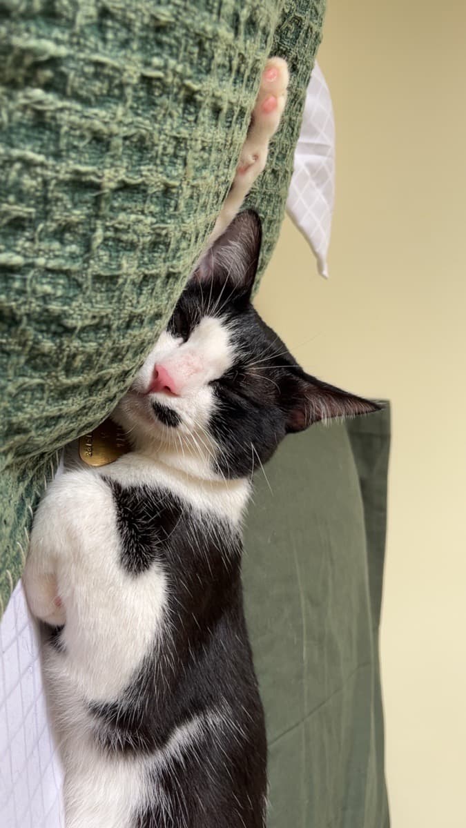 Pooja's home photo 6