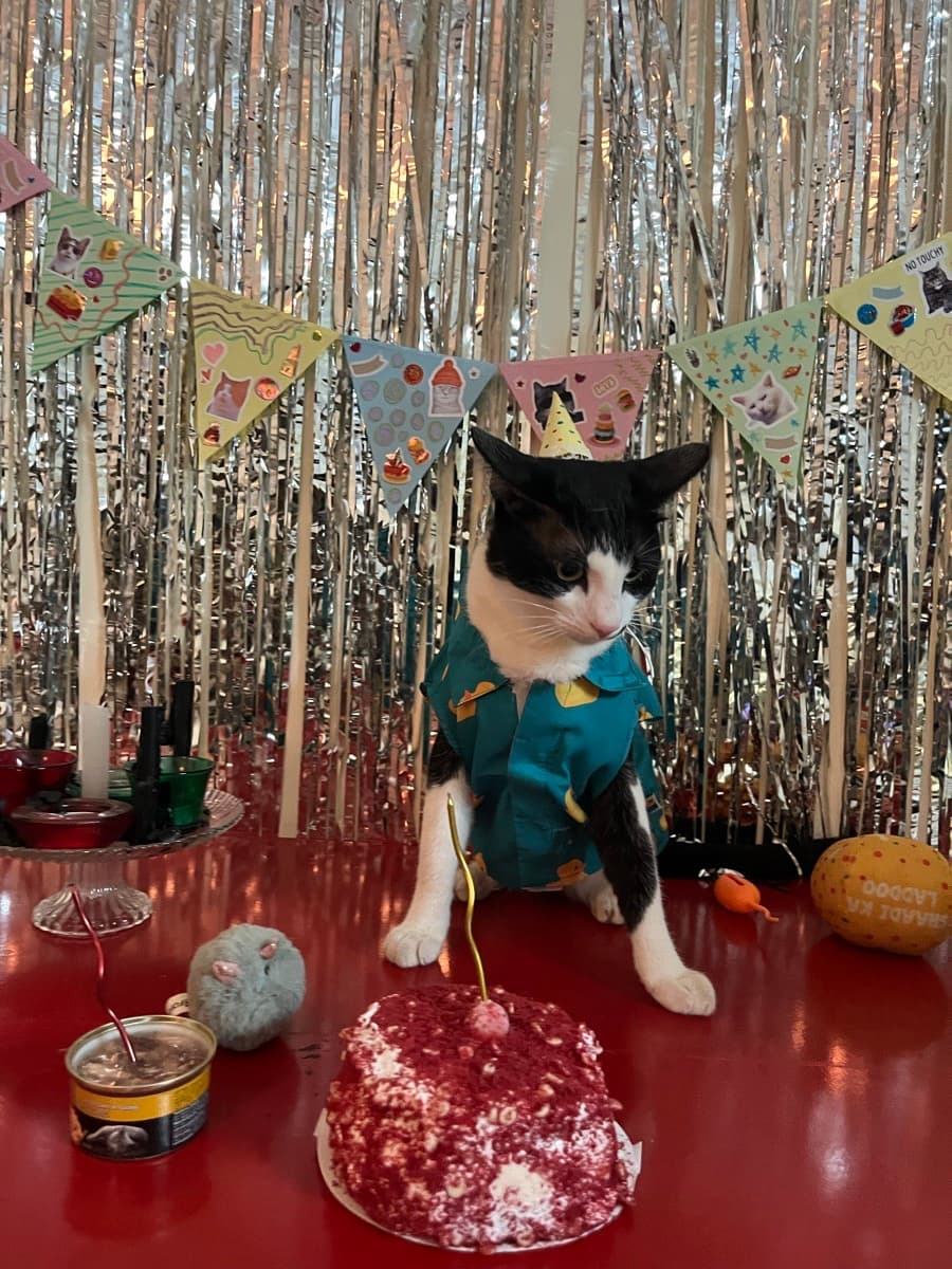 Pooja's home photo 2