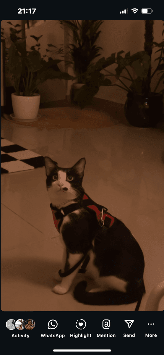 Pooja's home photo 5