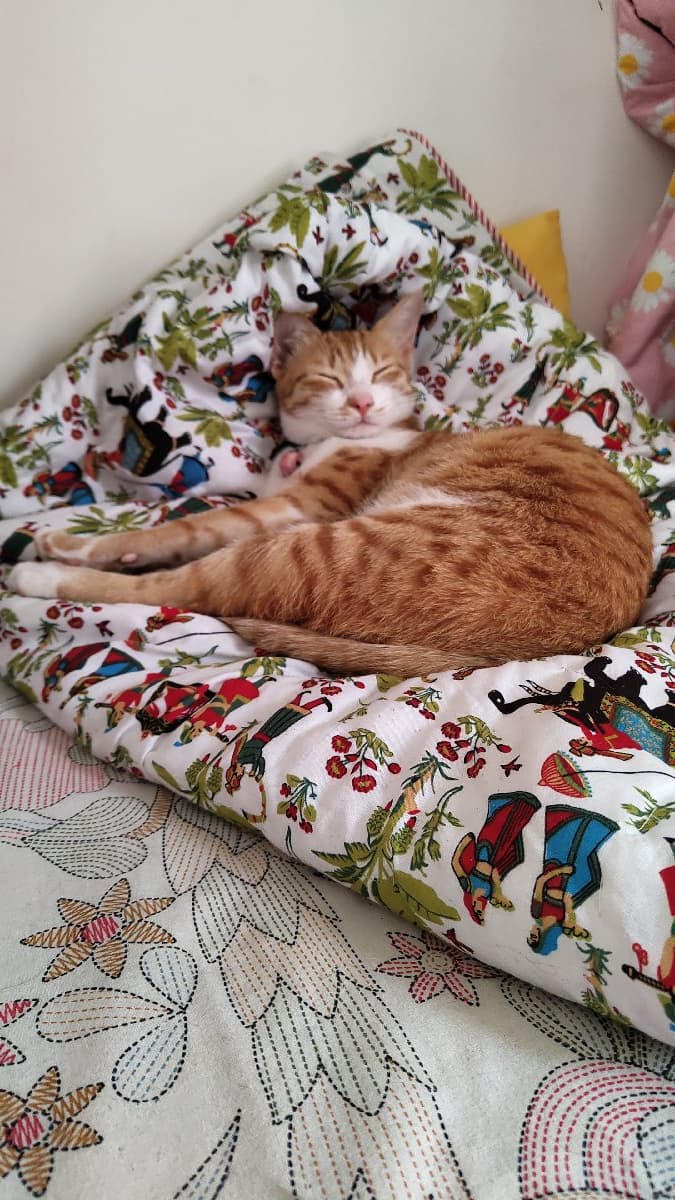 Surya's home photo 3