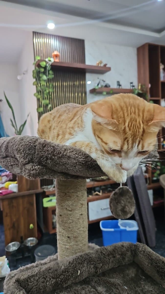 Surya's home photo 2