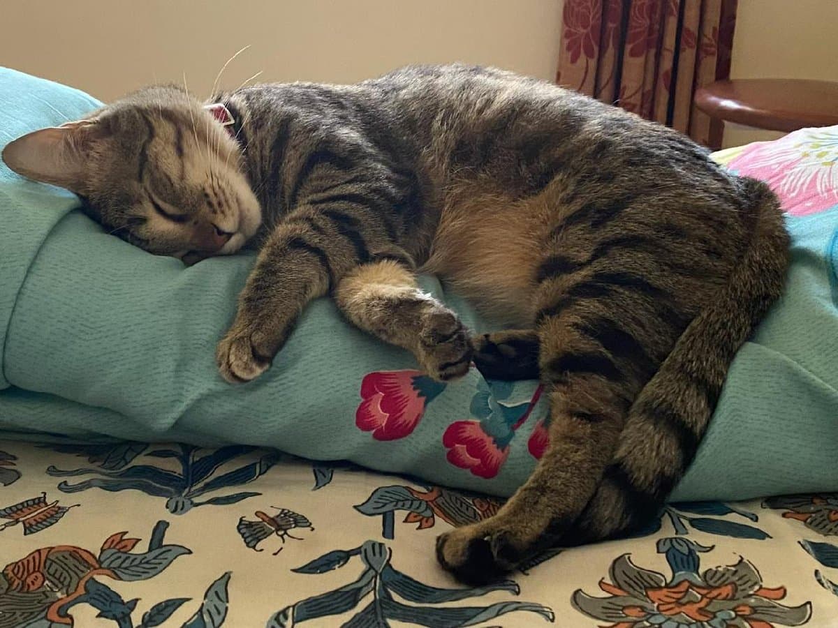 Surya's home photo 9