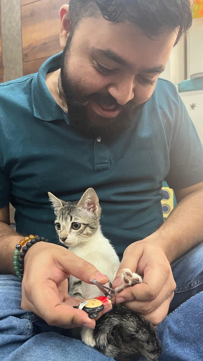 Surya's home photo 10