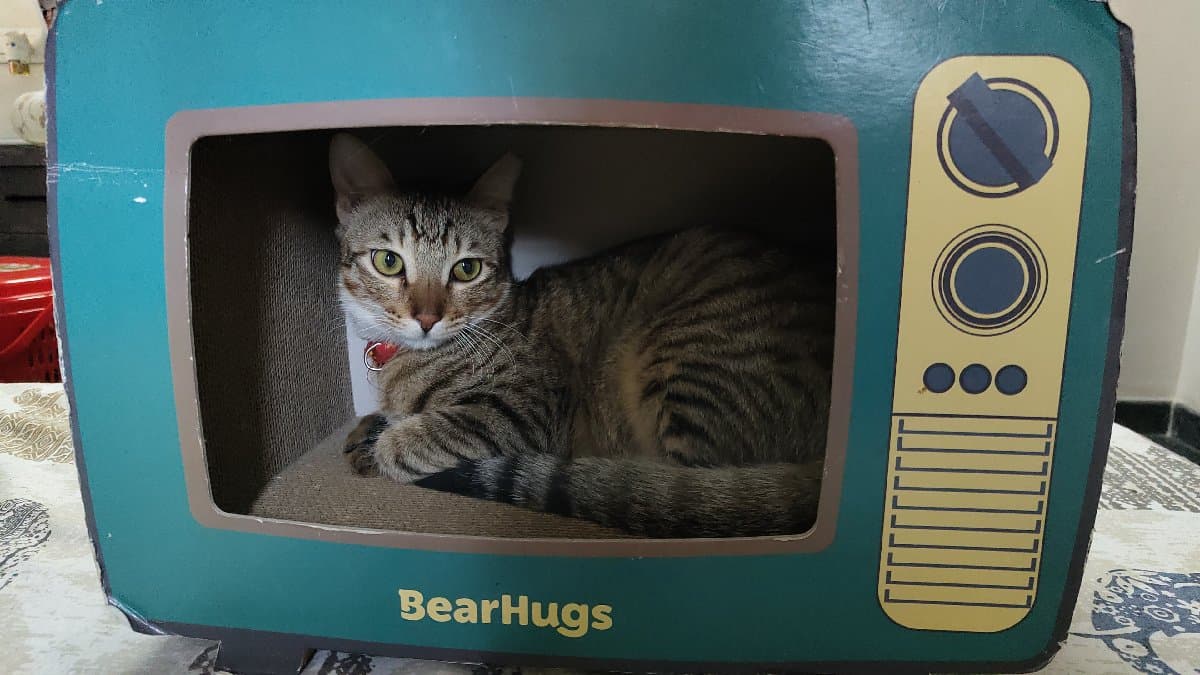 Surya's home photo 5