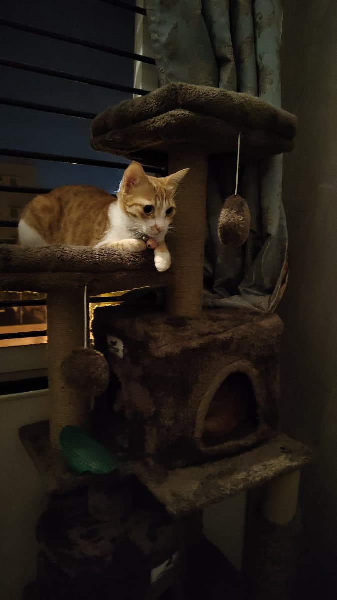 Surya's home photo 1