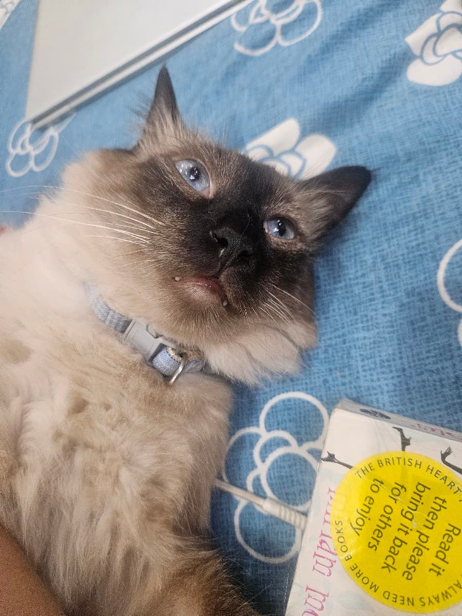 Priyanshi's home photo 1