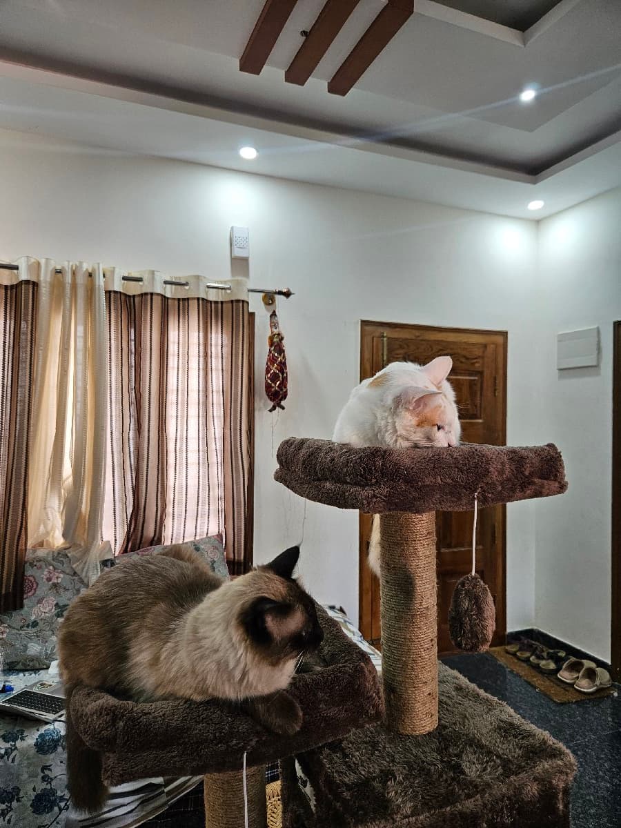 Priyanshi's home photo 4