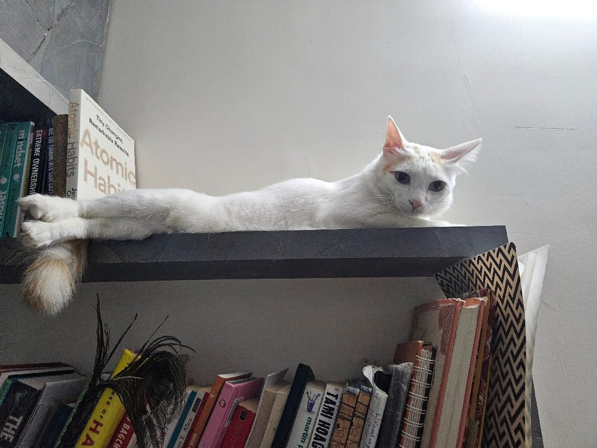 Priyanshi's home photo 3