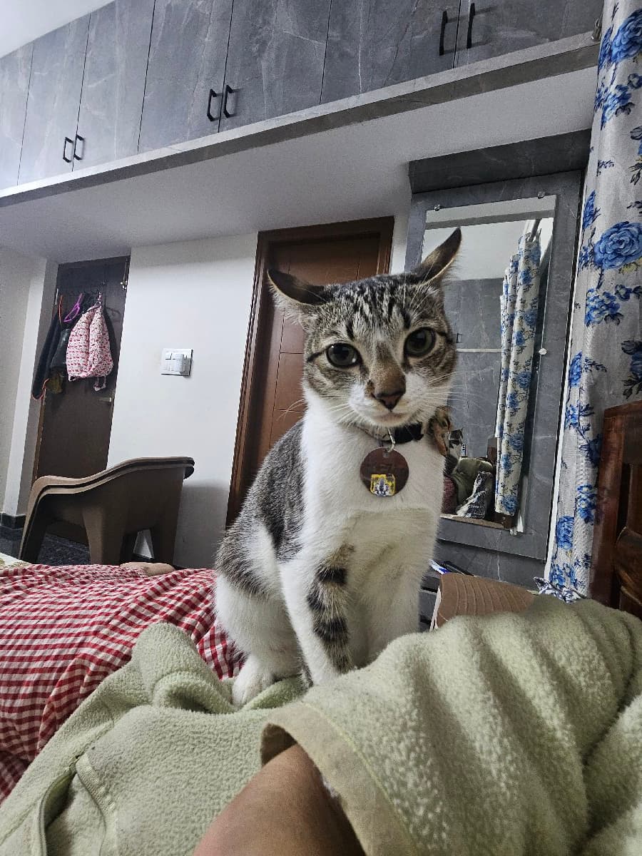 Priyanshi's home photo 6